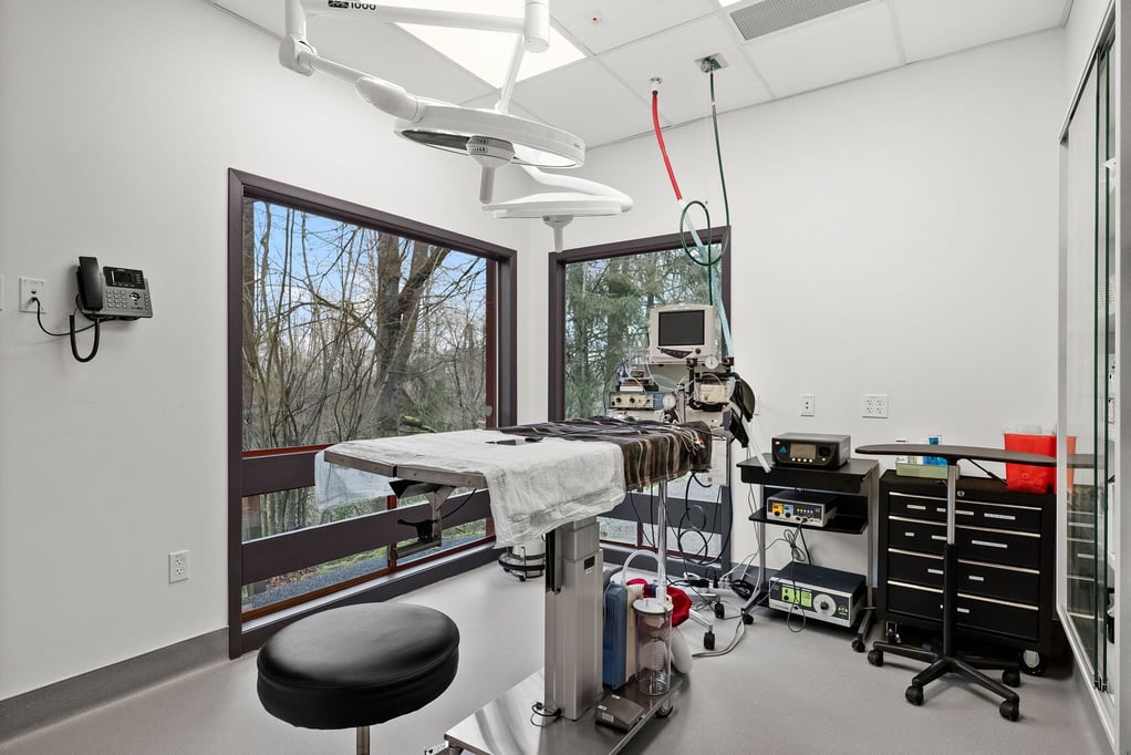 79-web-or-mls-J2G06649