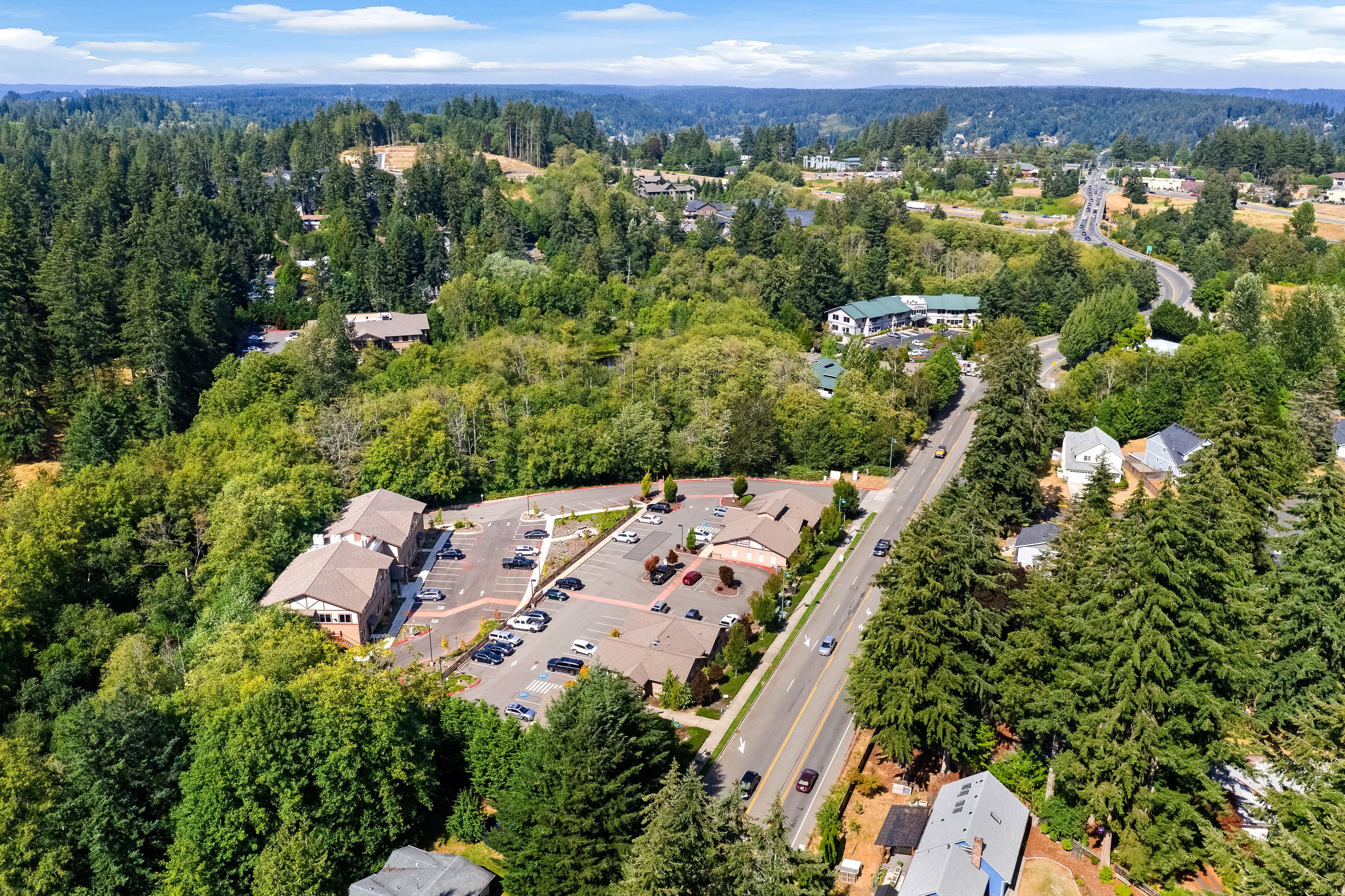 DJI_0296