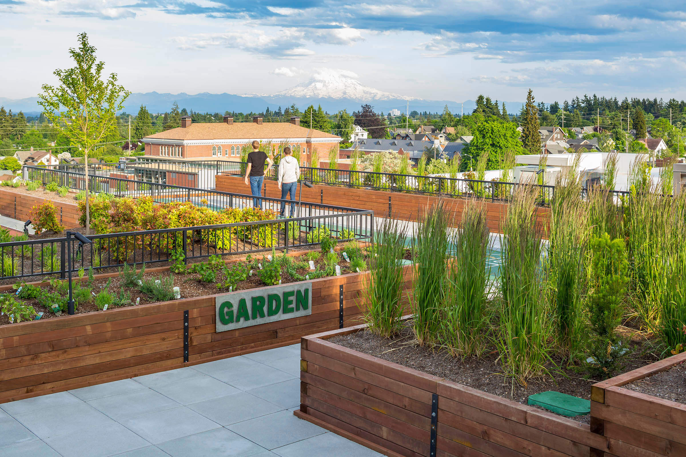 Proctor Station rooftop garden